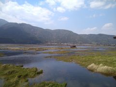 -腾冲北海湿地