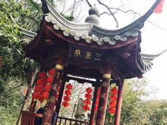 -杭州西湖风景名胜区-三生石