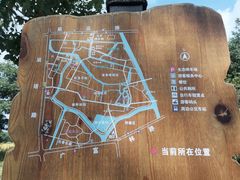 -广富林郊野公园