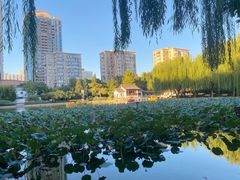 -团结湖公园