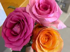 -野人先生现做冰淇淋(北京环宇荟店)