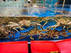 -神洲四海大酒楼(王府井澳门中心店)