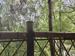 -巴倒烫陆派火锅山庄(南山总店)