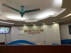 -奥林匹克体育中心游泳馆