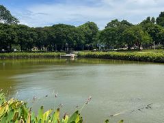 -金砂公园