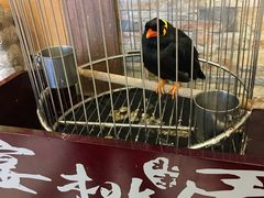 -宴桃园(门头沟店)