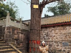 -金堂县云顶石城风景区