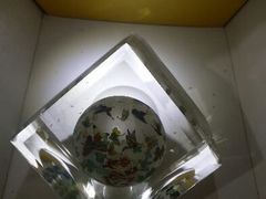 -上海昆虫博物馆