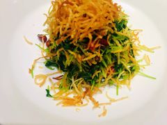巧拌豆苗-四季民福烤鸭店(王府井灯市口店)