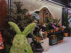 -PlantsEatery·植物食堂(REX春熙店)