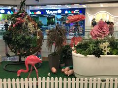 -凯德广场(武胜路店)