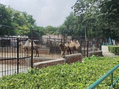 -保定市动物园