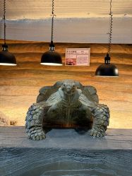 -Zoolung Zoolung动物主题公园(海信广场店)