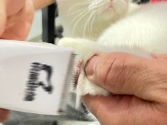 -PETKIT小佩宠物(古北店)