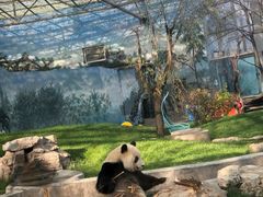 -鄂尔多斯野生动物园