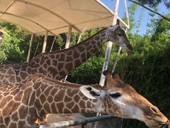 -泉州海丝野生动物世界