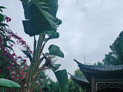 -海珠湖公园