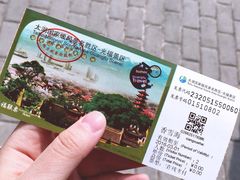 -香雪海