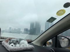 -上海港国际客运中心