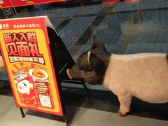 -猪角·闽南猪脚饭(文三路店)