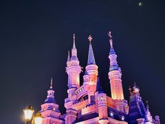 -上海迪士尼度假区