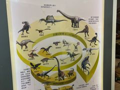 -陕西自然博物馆