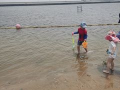 -碧海金沙