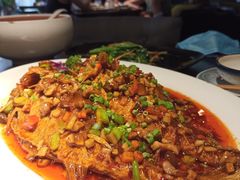 梧桐炖炖鱼-梧桐树下(云锦世家店)