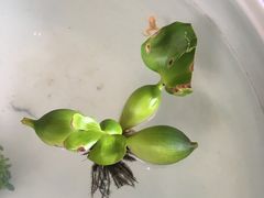 -皇家冰窖小院(什刹海店)