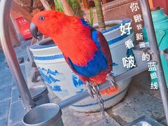 -丽江庭院之爱在路上(西单店)
