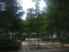 -双榆树公园