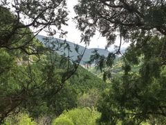 -佛慧山