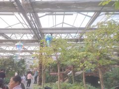 -南宫五洲植物乐园