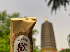 -八大处公园