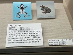 -大阪历史博物馆