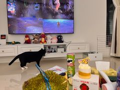 -好利来(红旗万达店)