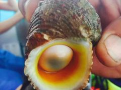 -QQ海鲜餐厅