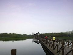 景点-溱湖国家湿地公园