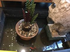 -旅马餐厅(茅家埠店)