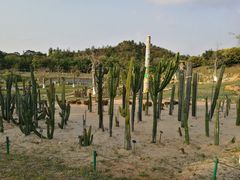 -东莞植物园