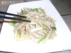 肉丝芽菜？-甲21号招待所