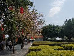 -南沙天后宫景区