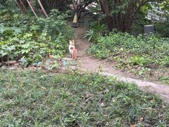 -苏州河梦清园环保主题公园