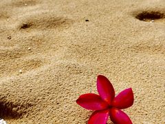 -海南清水湾莱佛士酒店