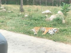 -西安秦岭野生动物园