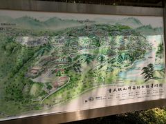 -铁山坪森林公园