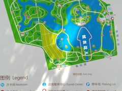-大兴滨河森林公园