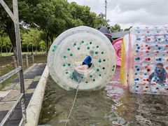 -上海海湾国家森林公园