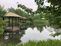 -成飞公园