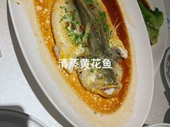 -维园悦谱·海派家常菜(乌鲁木齐南路店)